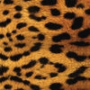 Candy Crush Asymmetrical Leopard Swimsuit