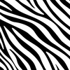 Christy Zebra Print Long Sleeve Crop Top