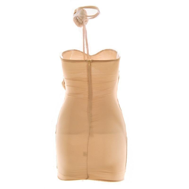 Sheer backless mini dress with halter neck, night-out style.