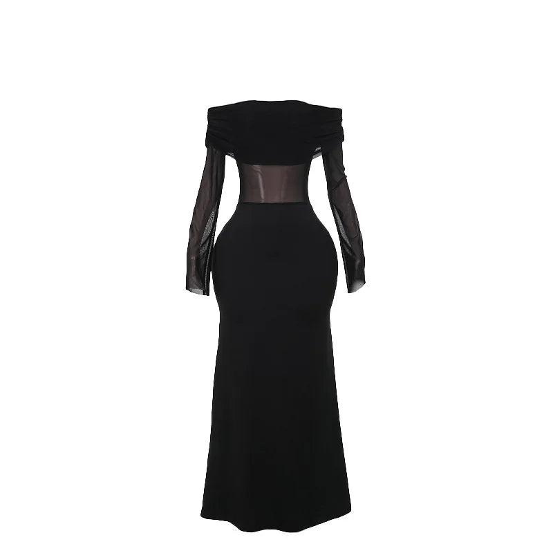 Sheer mesh long-sleeve bodycon maxi dress, evening look.