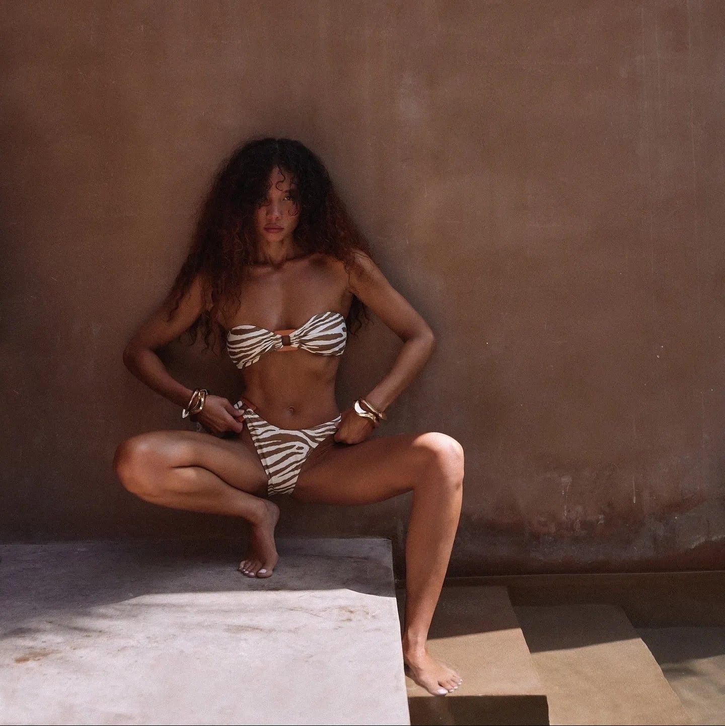 Savannah Style Zebra Print Strapless Bikini - Brown / S - Mermaid Way