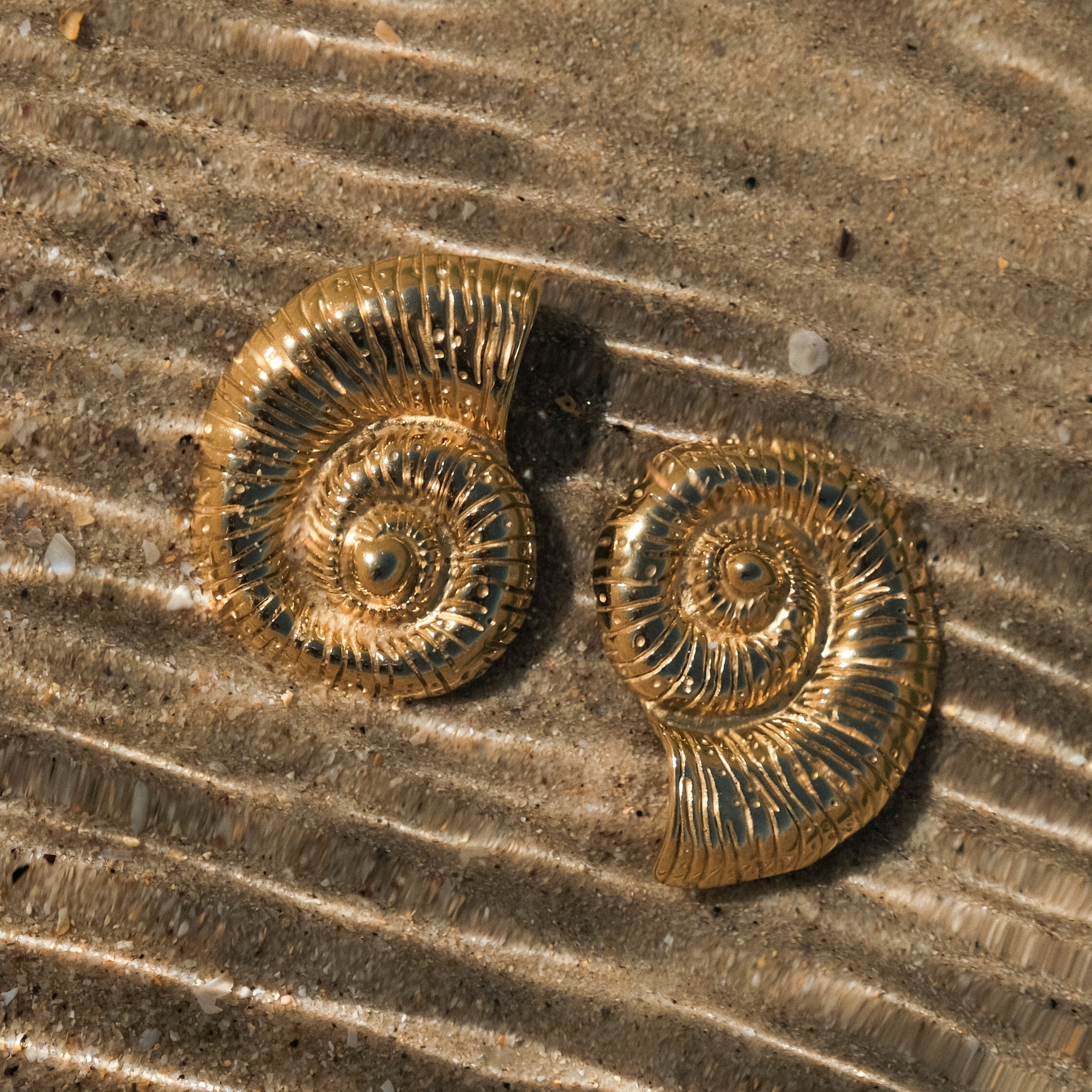 Two gold spiral shells on a sandy surface