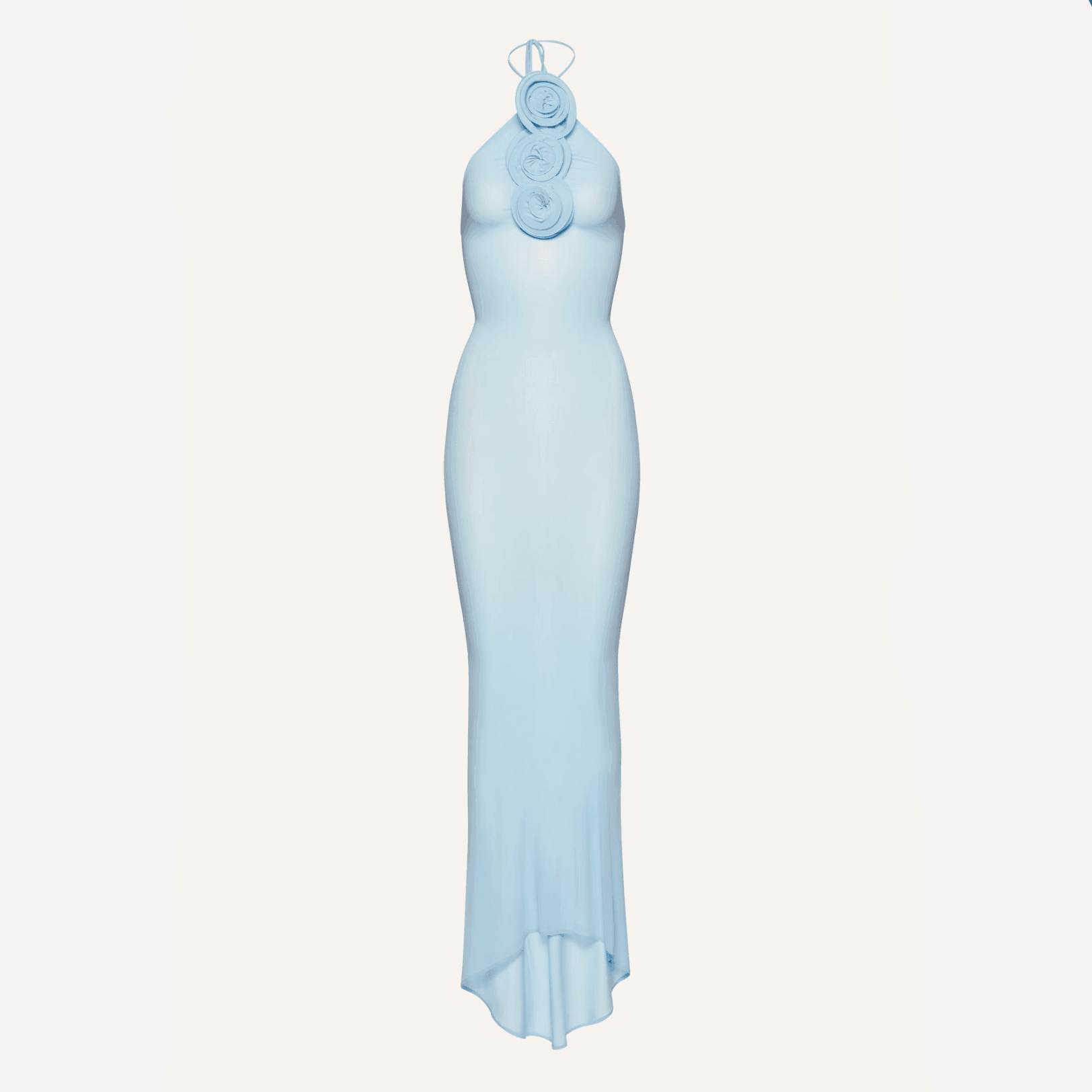 Color Me Blue Mesh Maxi Dress - Sheer, Elegant, Floor-Length Light Blue / L Color Me Blue Mesh Maxi Dress - Sheer, Elegant, Floor-Length Light Blue / L